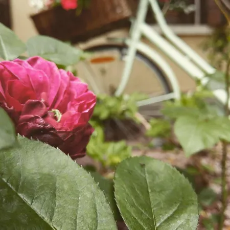 Casa Camilla Bed & Breakfast 4*