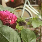 Casa Camilla Отель типа 