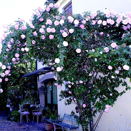 Casa Camilla