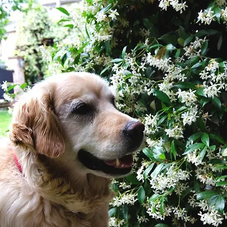 Bed & Breakfast Casa Camilla 4*